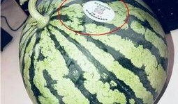 网红吃瓜什么意思,揭秘网红吃瓜背后的娱乐真相